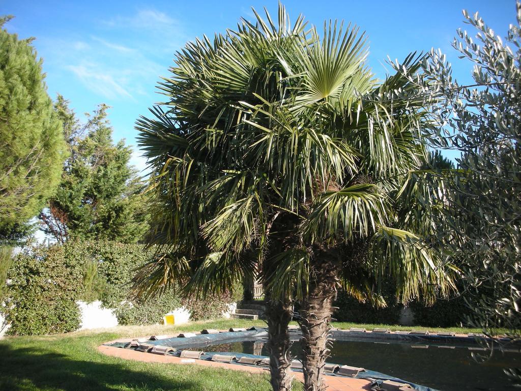 Agriturismo San Vito Crocemaroggia Ngoại thất bức ảnh