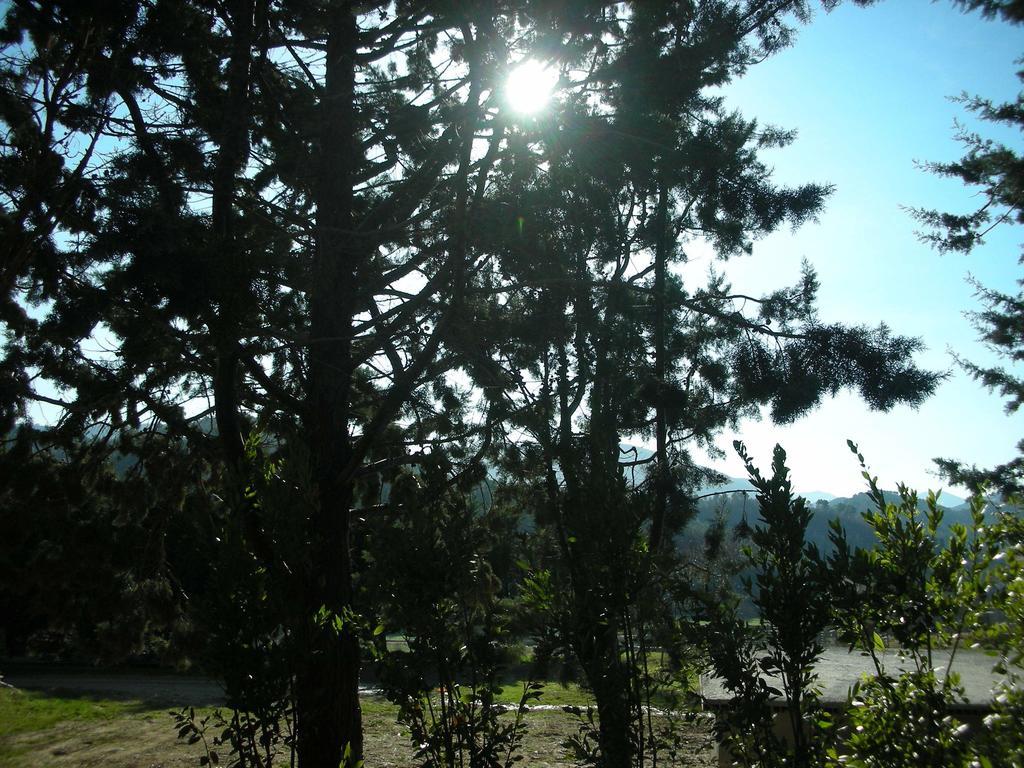 Agriturismo San Vito Crocemaroggia Ngoại thất bức ảnh