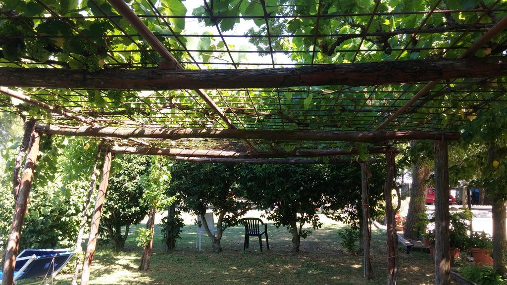 Agriturismo San Vito Crocemaroggia Ngoại thất bức ảnh